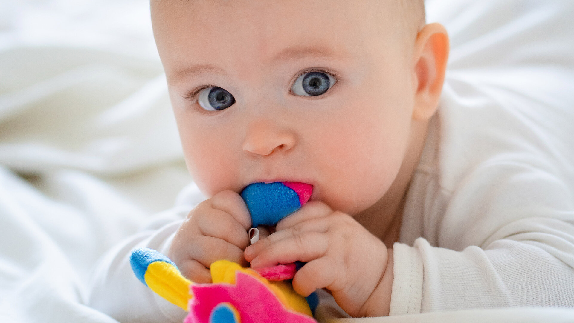 Baby liegt auf Bauch und nimmt Spielzeug in Mund