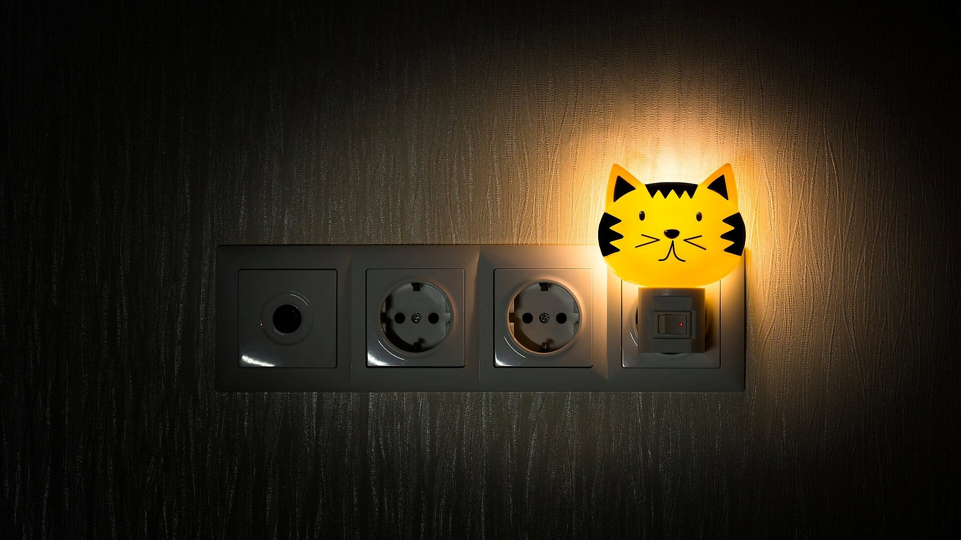 Katzen Nachtlicht eingeschaltet in der Steckdose