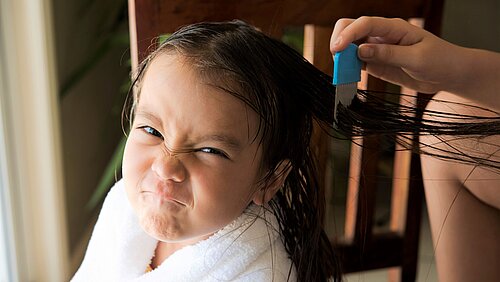 Haare eines Mädchens werden mit Läusekamm durchkämmt